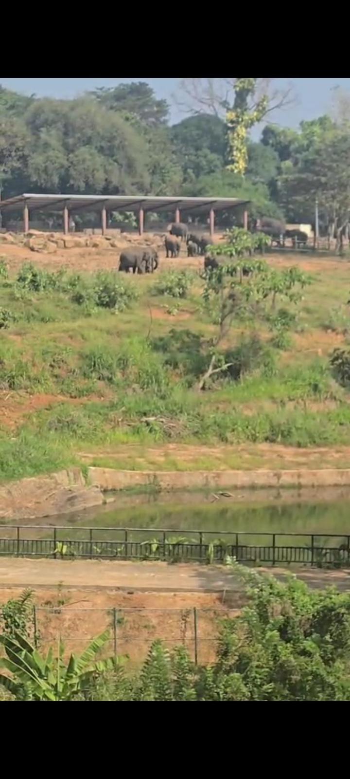 Pinnawala Elephant Front View Hotel Rambukkana Bagian luar foto